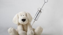 Vakcinace psů a koček MVDr. Marek Minář